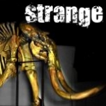 strange